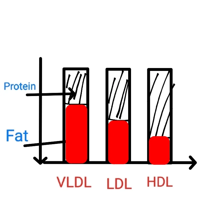 Types-of-cholesterol