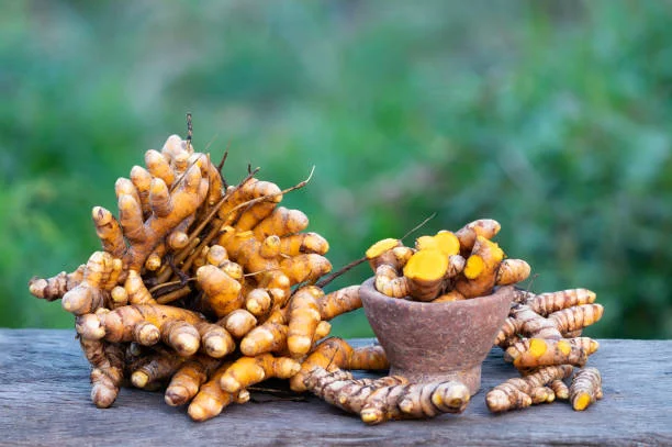 Turmeric root