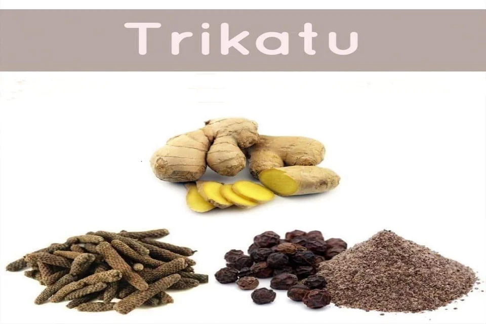 What are the benefits of Trikatu in Ayurveda?