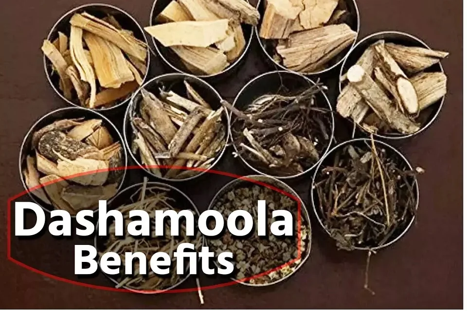 Dashmula benefits